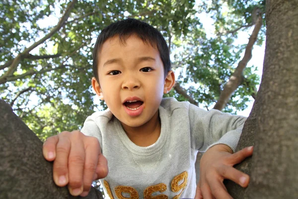 Japonês menino escalando a árvore (6 anos de idade ) — Fotografia de Stock