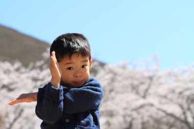Japon çocuk ve kiraz çiçekleri (4 yaşında)