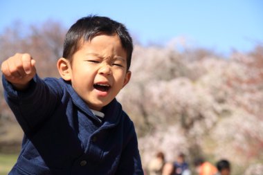 Japon çocuk ve kiraz çiçekleri (4 yaşında)