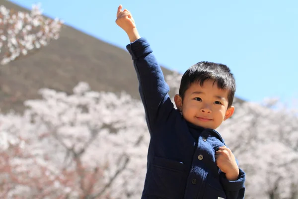 Japon çocuk ve kiraz çiçekleri (4 yaşında) — Stok fotoğraf