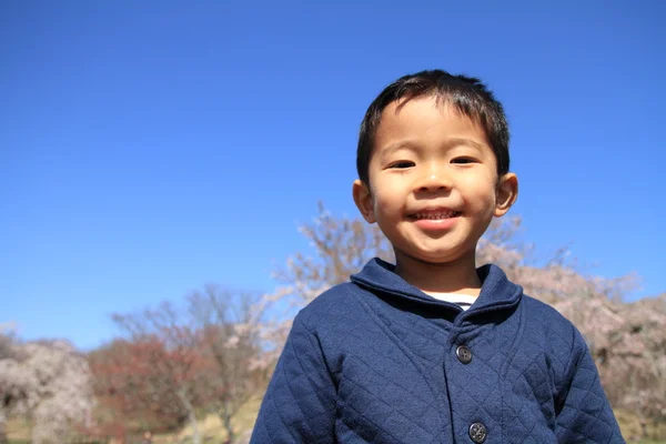 Japonês menino e cereja flores (4 anos de idade ) — Fotografia de Stock