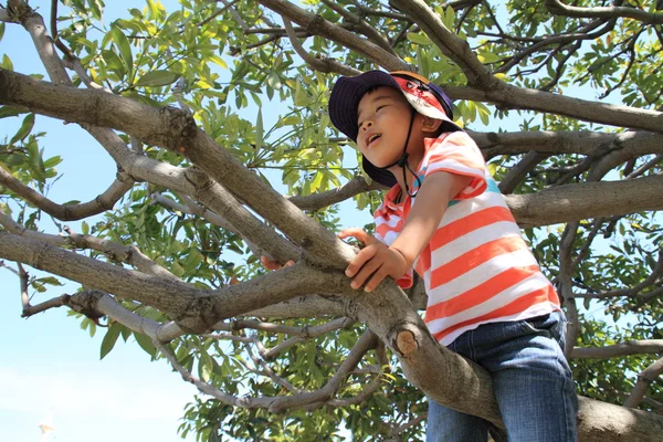 Japanese boy climbing the tree (4 years old) — Stock Photo, Image