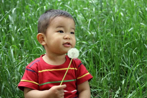 Japanese boy blowing dandelion seeds (1 year old) — Stock Photo, Image