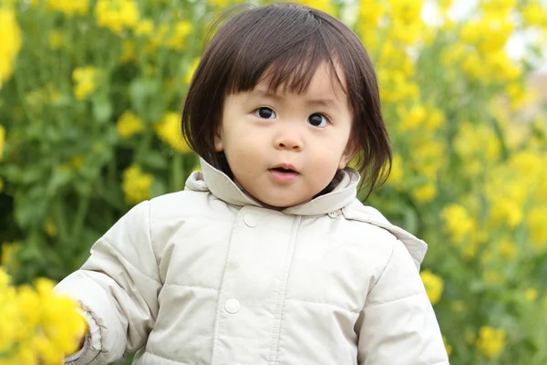 Japon bebek kız (1 yaşında) ve sarı alan hardal — Stok fotoğraf