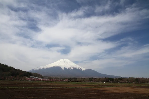 Mt. Fuji und Kirschblüten im Yamanaka-See, yamanashi, japan — Stockfoto