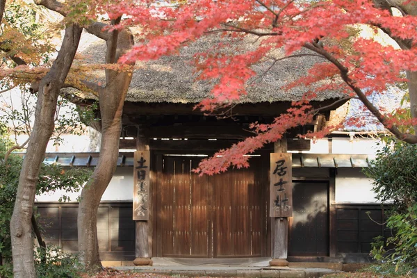 Herbstblätter am Engaku-Tempel in Kamakura, Japan — Stockfoto