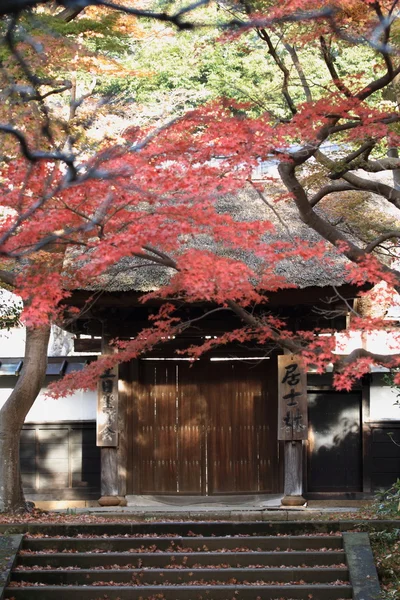 鎌倉の円覚寺に紅葉 — ストック写真