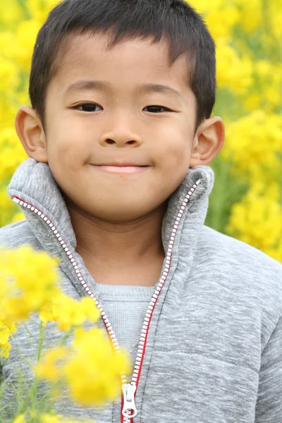 일본 소년 (6 세)과 노란색 필드 겨자 — 스톡 사진