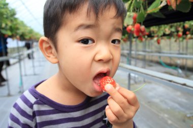 Japon çocuk çilek (4 yaşında yeme)