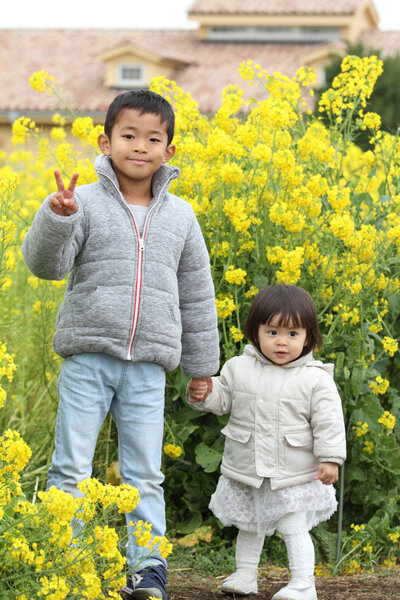 Japanese brother and sister (6 years old boy and 1 year old girl) in yellow field mustard