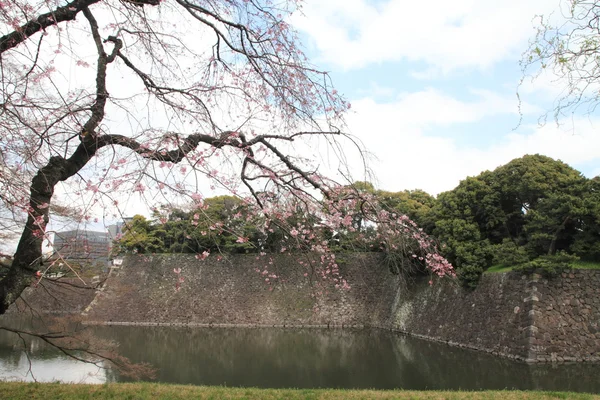 Inui moat of Edo castle in Tokyo, Japan — Stock Photo, Image