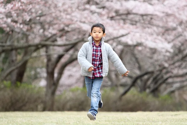 Correndo menino japonês e flores de cereja (primeira série na escola primária ) — Fotografia de Stock