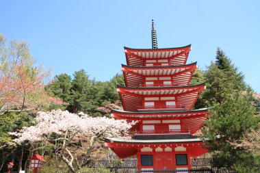 Beş katlı pagoda Arakura yama Sengen Park ile kiraz çiçekleri