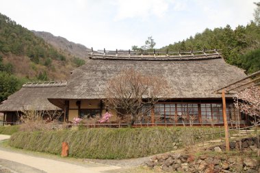 Japonca thatched çatı ev ve kiraz çiçekleri Saiko Yamanashi, Japan