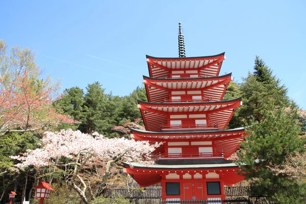 Kirschblüten mit fünfstöckiger Pagode im arakura yama sengen park — Stockfoto