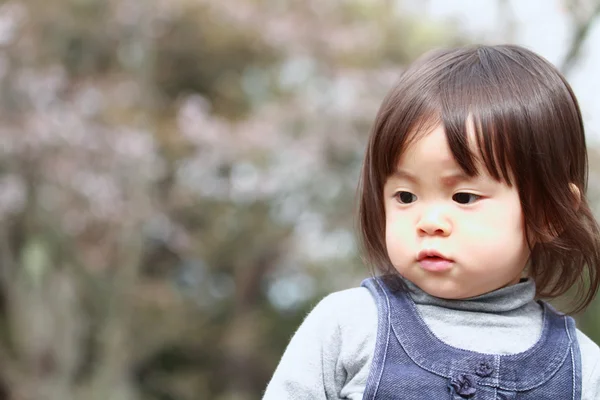 Japanisches Mädchen und Kirschblüten (2 Jahre alt)) — Stockfoto