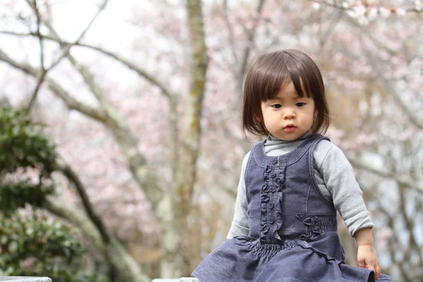 Японська дівчина і вишня цвітіння (2 років) — стокове фото