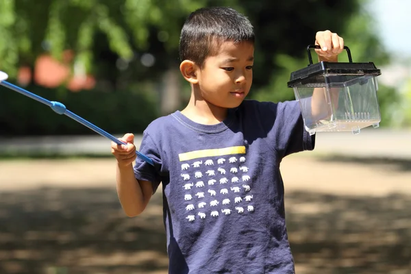 Ragazzo giapponese che raccoglie insetti (6 anni ) — Foto Stock