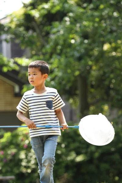 Ragazzo giapponese che raccoglie insetti (6 anni ) — Foto Stock