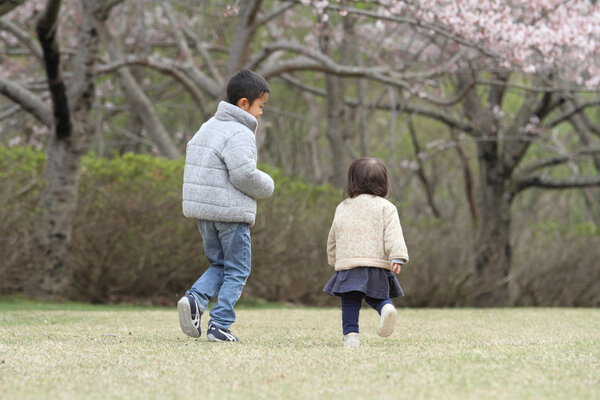 Japanese brother and sister (6 years old boy and 1 year old girl) and cherry blossoms
