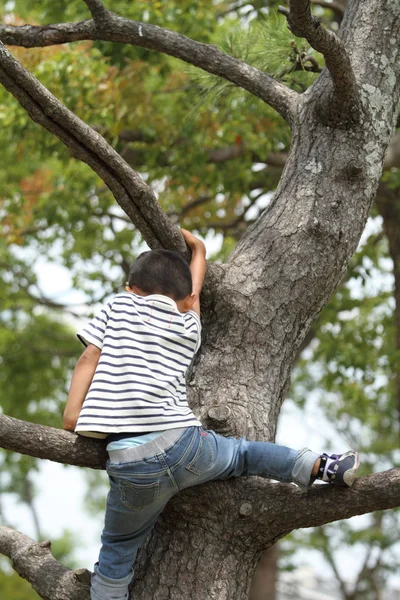 Japanska boy klättring trädet (första klass i grundskolan) — Stockfoto