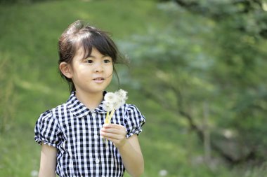 Japon öğrenci karahindiba tohumu üflüyor (6 yaşında))