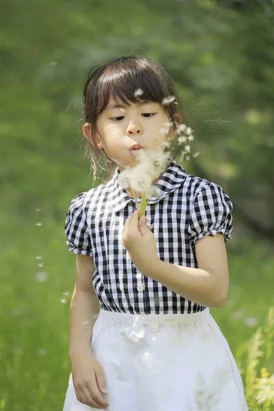 Estudante Japonês Menina Soprando Sementes Dente Leão Anos — Fotografia de Stock