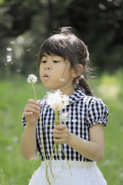 Japanese Student Girl Blowing Dandelion Seeds Years Old — Stock Photo, Image