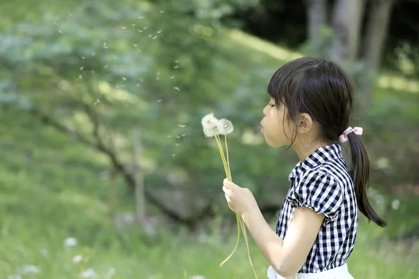 タンポポの種を吹く日本人女子学生 — ストック写真