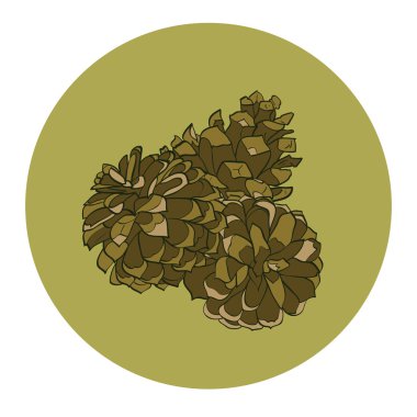 Üç çizilmiş çam kozalakları el