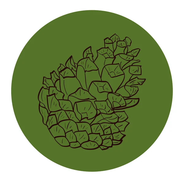 Cone de pinheiro desenhado à mão — Vetor de Stock