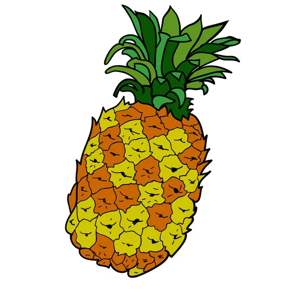 Getekende gekleurde ananas — Stockvector