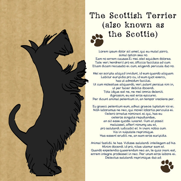 Brochure with sketch of Scottish terrier