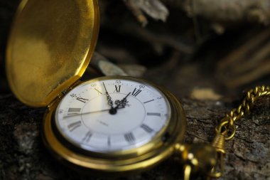 Viersen, Almanya - 9 Mayıs 2020: Filigran hareketi, saat mekanizması, kapak, ağaç gövdesinin doğal kabuğuna zincir bağlı izole edilmiş altın antika cep saati
