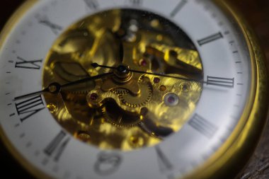 Viersen, Almanya - 9 Mayıs 2020: Macro, Filigran hareketli izole edilmiş altın antika cep saatini, ağaç gövdesinin doğal kabuğuna saat gibi yakın çekim