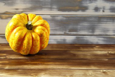 İzole edilmiş parlak sarı turuncu olgun balkabağına yakın beyaz ve kahverengi ahşap ahşap kaplama arka plan