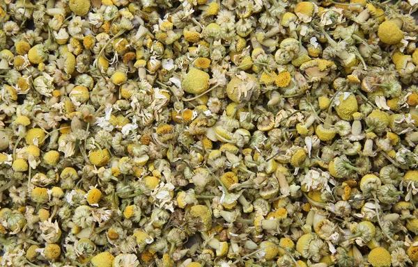 Top View Close Countless Isolated Dried Yellow Chamomile Blossoms Natural — Stock Photo, Image