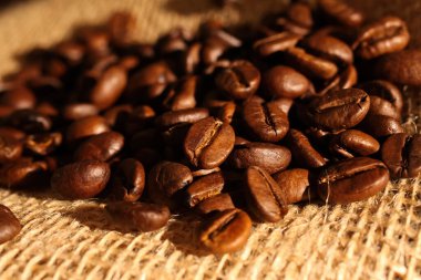 Makro yakın çekim yığını taze kavrulmuş organik kahve çekirdekleri jüt kumaş çuvalında (merkeze odaklan)