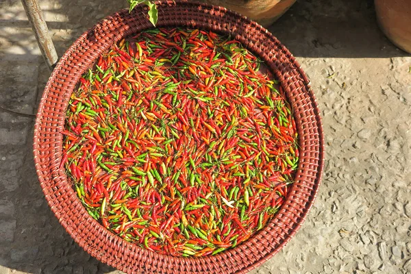 Вид Корзину Миски Зеленым Красным Свежим Перцем Чили Сушки Естественном — стоковое фото