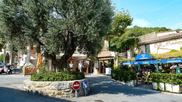 Ramatuelle Francja Czerwca 2016 Widok Plac Dużym Drzewem Oliwnym Śródziemnomorskiej — Zdjęcie stockowe