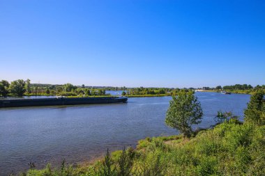 Hollanda 'da Roermond ve Venlo arasında mavi yaz gökyüzüne karşı Maas Nehri' nin yeşil kırsal manzarasına bakın.