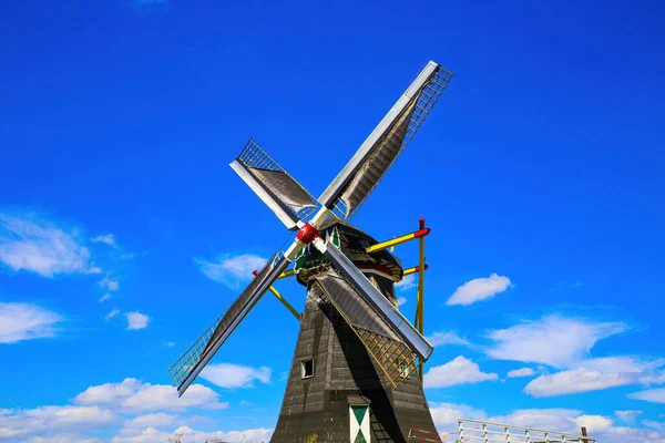 オランダのビーゼル 7月9日 2021 積雲による深い青夏の空に対する田園風景の中での孤立した典型的なオランダの風車 モーレン グラウエ ビール の眺め — ストック写真