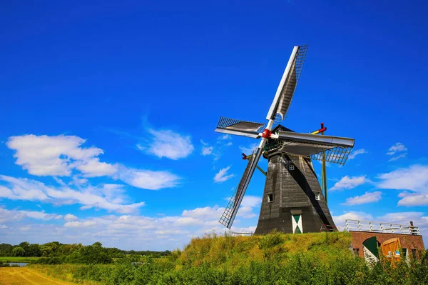 Пчела Нидерланды Июля 2021 Вид Изолированную Типичную Голландскую Ветряную Мельницу — стоковое фото