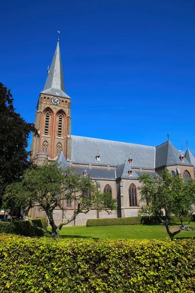 세기의 신석기 교회의 과푸른 하늘을 배경으로 나무들이 나무들 마르티노 네덜란드 — 스톡 사진