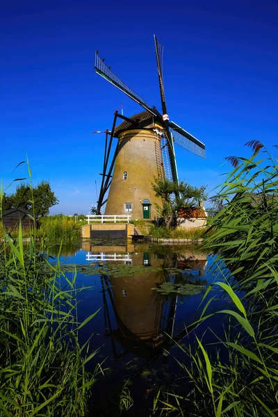 在一条偏僻的老风车上 在水渠的绿草之上眺望 映衬着深蓝色无云的夏日天空 荷兰金德迪克 — 图库照片