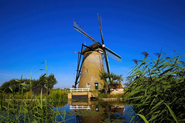 Uitzicht Voorbij Groen Rietgras Waterkanaal Één Geïsoleerde Oude Windmolen Met — Stockfoto