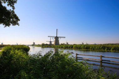 Yeşil sazlıkların ve su kanallarının üzerinde sabah güneşinin baş döndürücü mavi gökyüzüne karşı kırsal alanda birçok yel değirmeninin görüntüsünü görüntüle - Kinderdijk, Hollanda