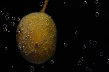 Bir zeytin suyun altında yüzer ve karanlık bir zemine karşı hava kabarcıklarıyla çevrilidir.