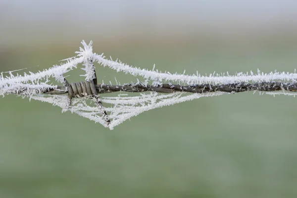 Ett Staket Taggtråd Täckt Med Frost Mot Ljus Bakgrund Naturen — Stockfoto