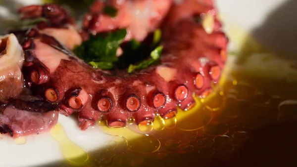 Calamar Mediterráneo Cocido Yace Plato Con Aceite Oliva Como Entrante —  Fotos de Stock